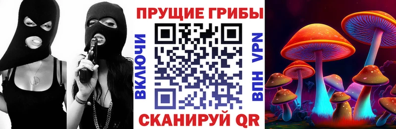 Псилоцибиновые грибы MAGIC MUSHROOMS  цена наркотик  Гулькевичи 